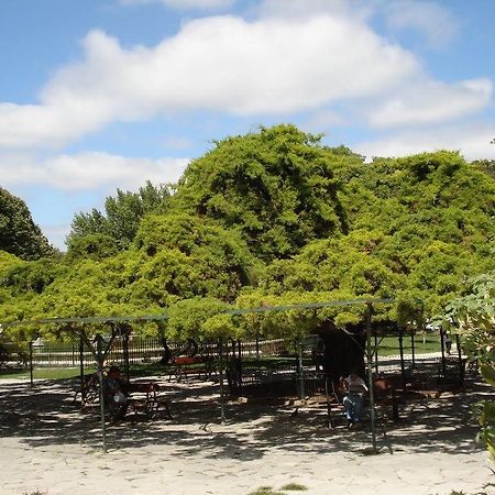 Myplace - Lisbon Principe Real Studio エクステリア 写真