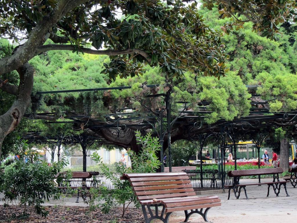 Myplace - Lisbon Principe Real Studio エクステリア 写真