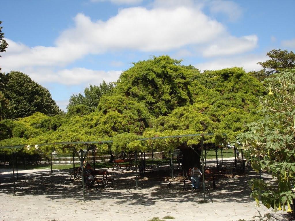 Myplace - Lisbon Principe Real Studio エクステリア 写真